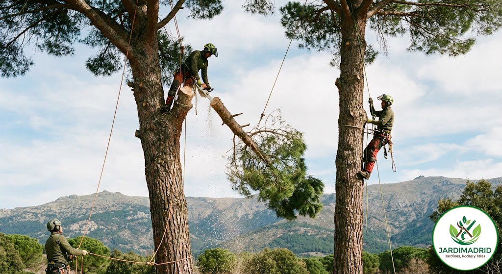 Maquinaria JARDIMADRID