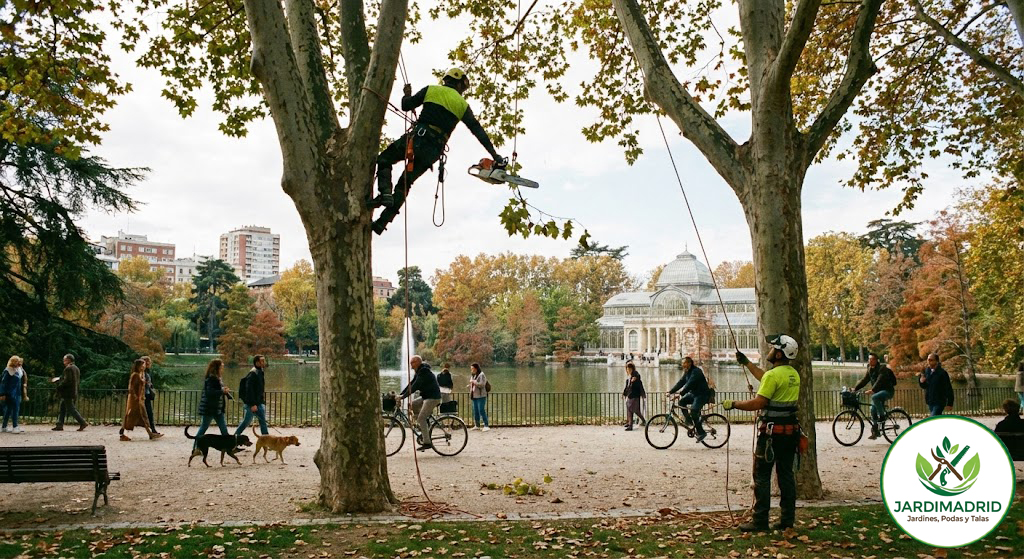 Jardineria en Algete